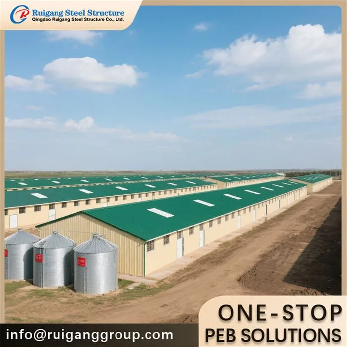 10000 Broiler Chicken House Poultry Farm